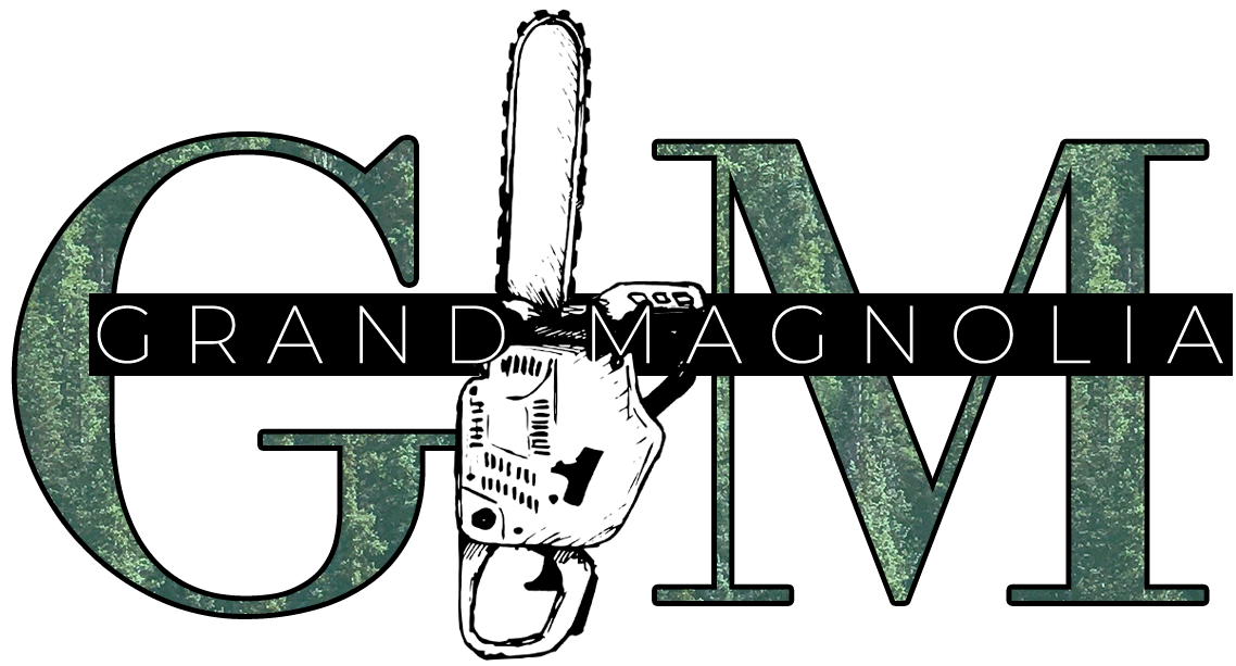 Grand Magnolia Tree & Fence